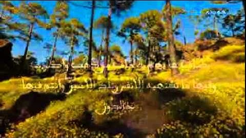قراءة مبكية للشيخ ناصر القطامي - أواخر سورة الزخرف.