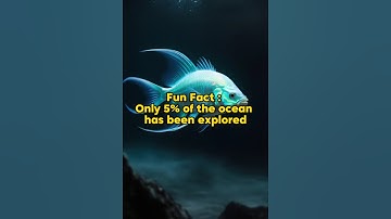 Fun Fact : Only 5% of the ocean has been explored