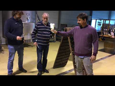 Brindis en Bodegas Vidular con Cantábricus
