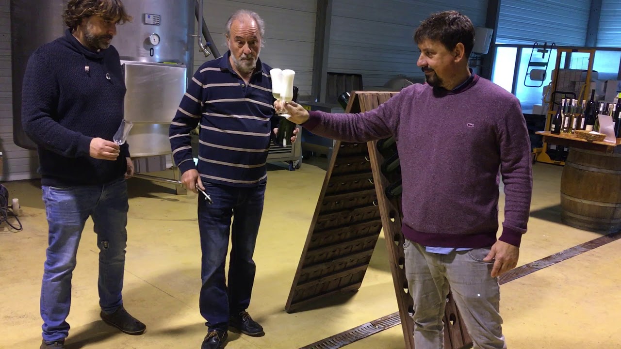 Brindis en Bodegas Vidular con Cantábricus