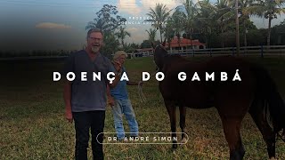 Doença do Gambá | Vet Raiz