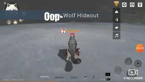 How To Color-Code | Wolf Online 2