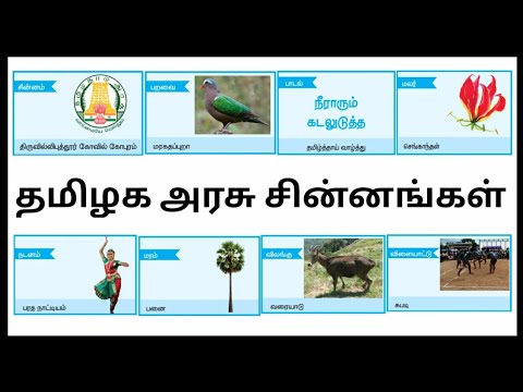 STD - 4 / TERM - 1 / தமிழக அரசு சின்னங்கள் | @KUTTIES TAMIL BEATS - YouTube