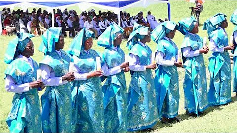 First Professions, Perpetual Professions and Jubilee celebrations of the Sisters of Saint Joseph