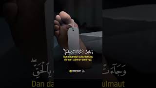 Surah Qaf 19-20 Mohammed Hesham Hari Ancaman