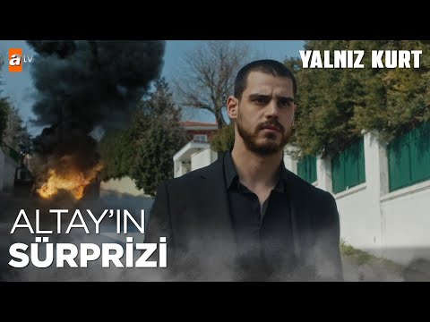 Parti şimdi şenlendi! | Yalnız Kurt Kısa Sahneler