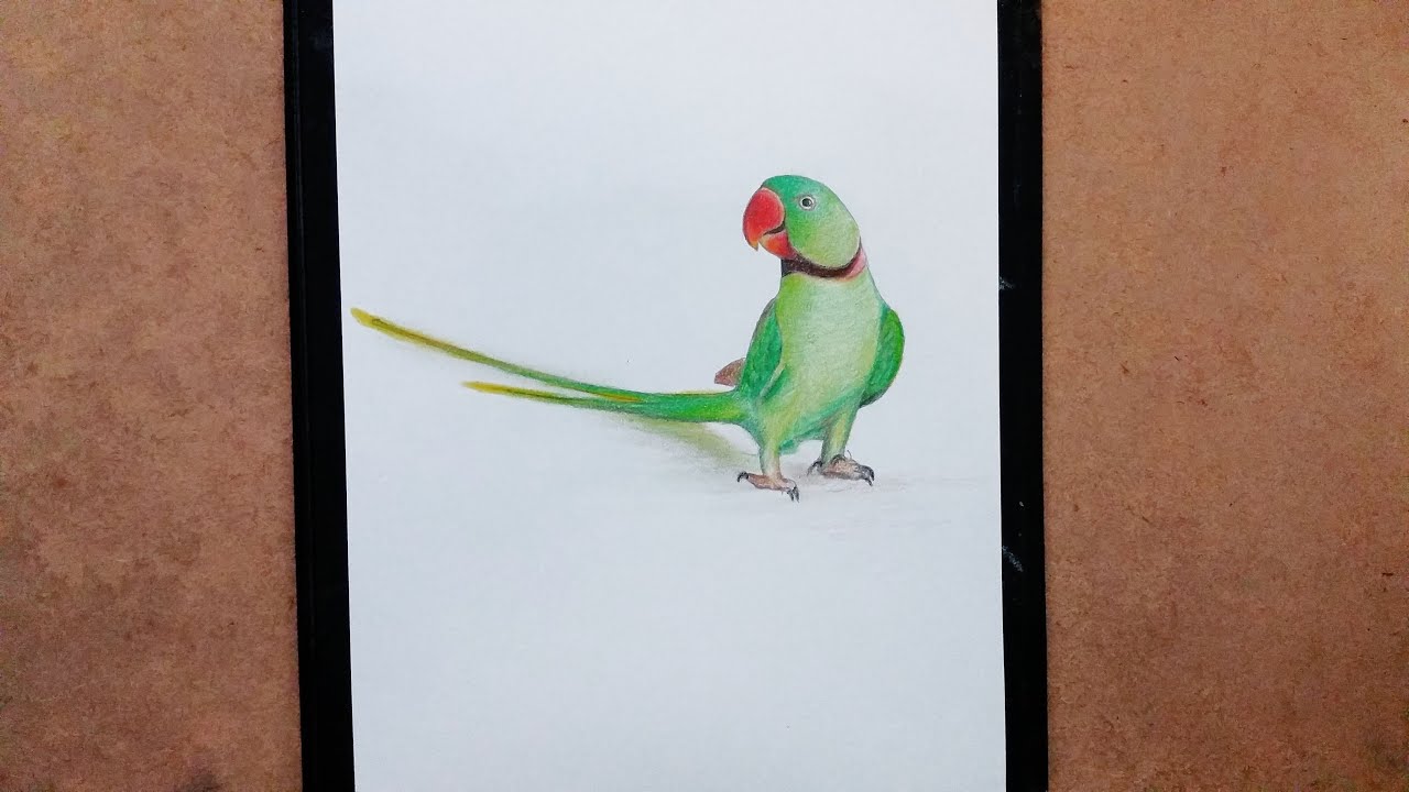 Drawing a parrot with a ballpoint pen., Ekaterina B