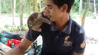 Day 2 Rescued Baby Monkey Santa at Wildlife Alliance is a completely different beautiful baby.
