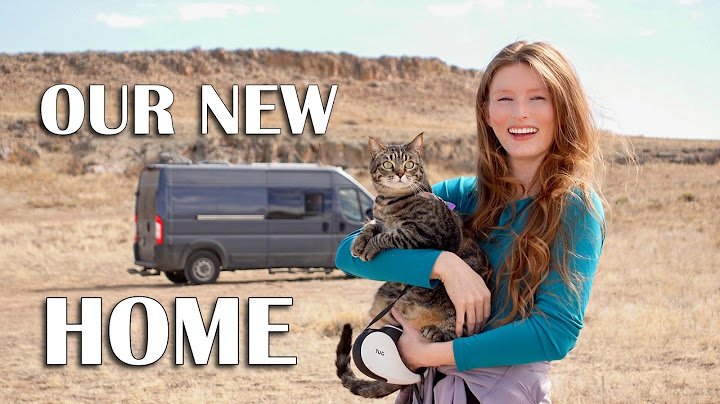 Dispersed Camping with my CAT | VANLIFE Vlog | Off-Grid Adventures
