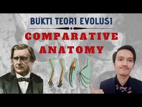 BUKTI TEORI EVOLUSI | COMPARATIVE ANATOMY