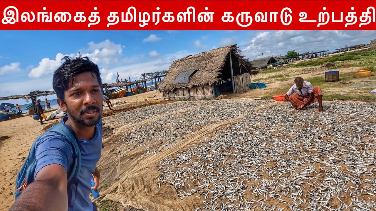 Karuvatu village of Sri Lankan Tamils Mannar Fishing Village  Jaffna Suthan