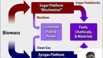 Biomass conversion and biorefinery 1
