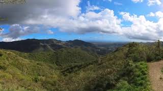 360 4K La curva del árbol Salinas Puerto Rico