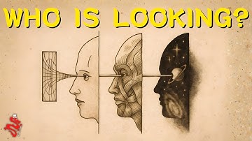 Give Me 20 Minutes To Dissolve Your Observer