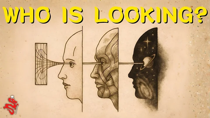 Give Me 20 Minutes To Dissolve Your Observer