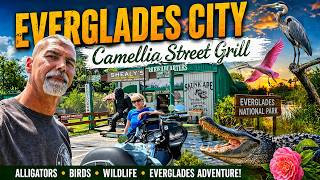 From the Open Road to Camellia Street Grill: Everglades City Adventure