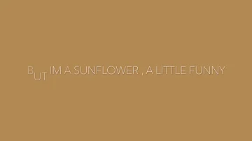 Sunflower Lyrics by Sierra Burgess