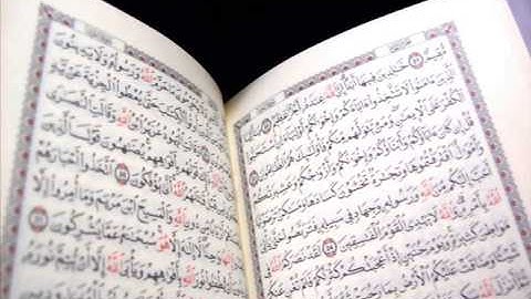 تلاوة رائعة للقارئ الشيخ صلاح أبو خاطر- سورة الشمس