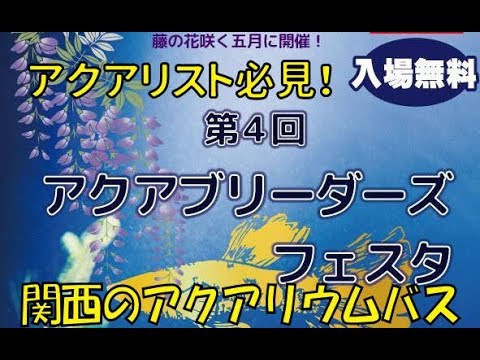 関西のアクアリウムバス 第4回アクアブリーダーズフェスタを紹介します アクアリウム水槽熱帯魚 Youtube