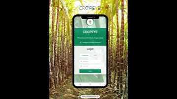 AI-Powered Crop Monitoring by CropEye.