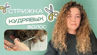 СТРИЖКА КУДРЯВЫХ ВОЛОС / как выбрать мастера?