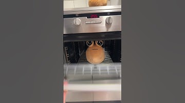 How I Multiply My Pou’s! #pou #plushtoy