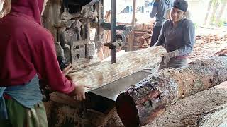 HASIL BERLIPAT POTONG MAHONI BALOK 8,10