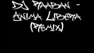 DJ Raaban - Anima Libera (remix)