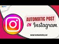 Automatic Post On Instagram | MKT Insta
