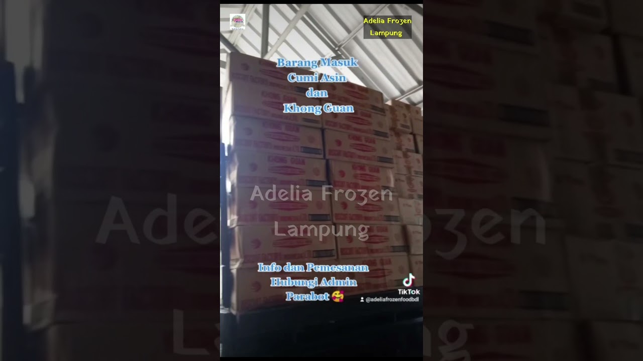 CUMI ASIN DAN KUE KHONG GUAN READY DI ADELIA FROZEN FOOD LAMPUNG 
