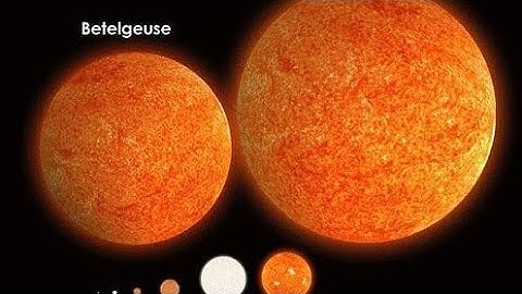 Sun vs Biggest star size comparison | 3d animation Comparison | stars real scale comparison