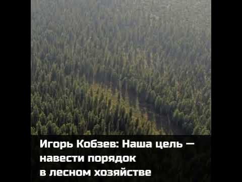 Навести на цель. Иметь кого то. Господи раскрой мою грудь. Кто имеет. Пиши в любой момент.