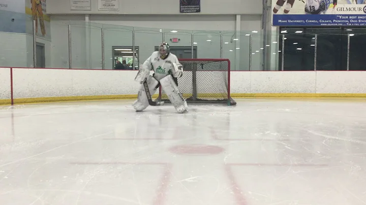 Lerch - high walks. Conway Goaltending Training @N...