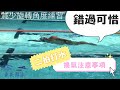 (19) 魚式游泳 二拍打水加換氣 超容易 分解動作練習
