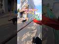 Pro Dog Catcher Amazing Work #dog#streetdogrevival #shorts #ytviral #pets #animals