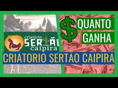 Quanto Ganha o