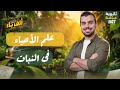 تأسيس النبات المحاضرة الختامية ألف باء في علم الأحياء  mp3