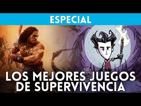 TOP Los MEJORES JUEGOS DE SUPERVIVENCIA para PC - Lista VANDAL (algunos de pocos requisitos)