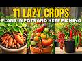11 Vegetables That Produce The Most In Containers