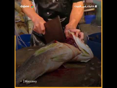 بعد منع تناول الكلاب والقطط ما هي الحيوانات المباح أكلها في الصين