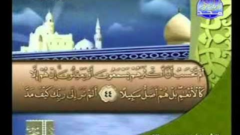 سورة الفرقان من 21 اخرها الشيخ محمد عبدالكريم