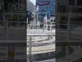 시원한 분수쇼 #shorts