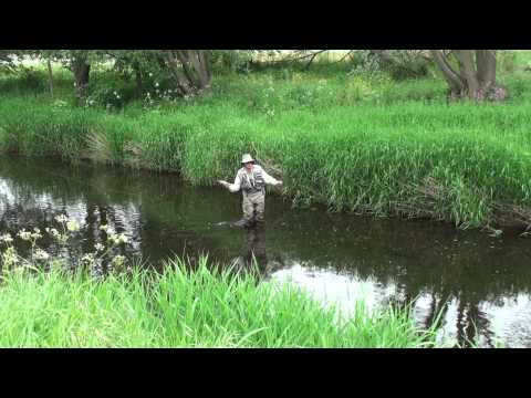 UpstreamDryFly3-...  casting- the strike and playi...