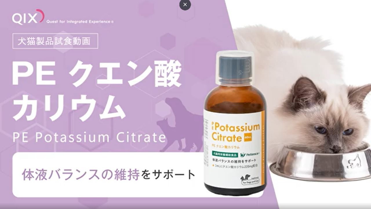 犬猫用アガリクスバイオ スーパーリキッド 30mL×2本【賞味期限:27.10】 楽天市場】犬猫用 アガリクスバイオスーパーリキッド(30ml*4個