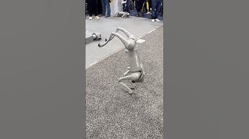 CES 2025 Unitree Robot Dog performs hand-stand & walks near humanoid robot #ces2025 #humanoidrobots