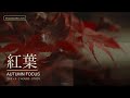 Autumn Pomodoro 25/5 | Japanese Maple Study Timer | 2 Hours Cozy Focus | 紅葉