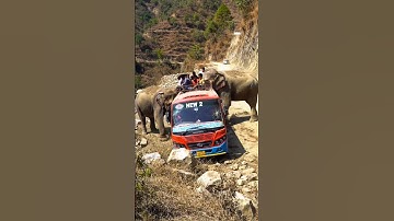 🐘 Elephant Pushes Bus Off Cliff | Viral AI  #shortviral