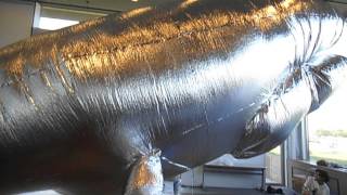DSCF6107象の鼻テラスで鯨バルーン20130929銀色