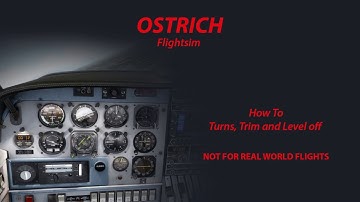 Ostrich How to: Turns, Trim and level off A2A Comanche
