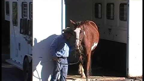 Trailer Loading Difficult Horses 2 Part 4
